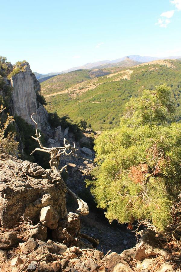 Vista Mare Daire Lanusei Dış mekan fotoğraf